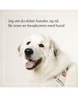Besøk som gleder